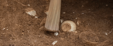 4.gif