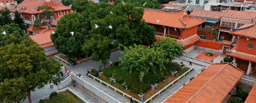 6.gif
